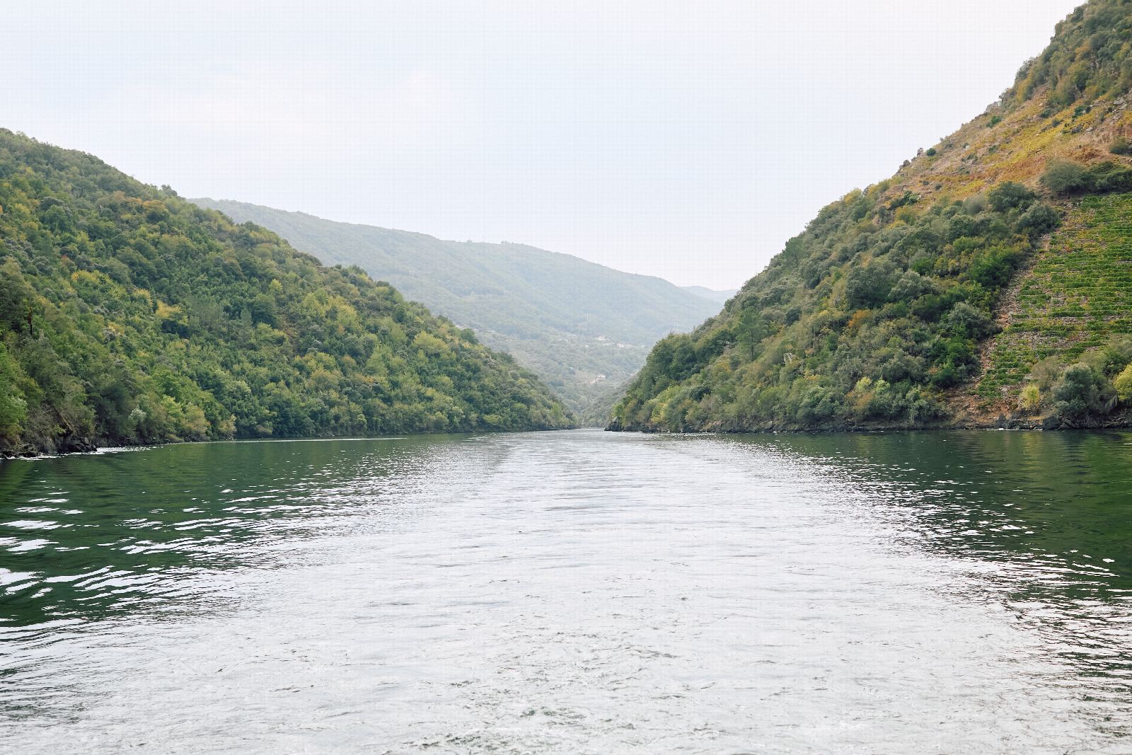 O río entre ladeiras verdes, visto desde o barco