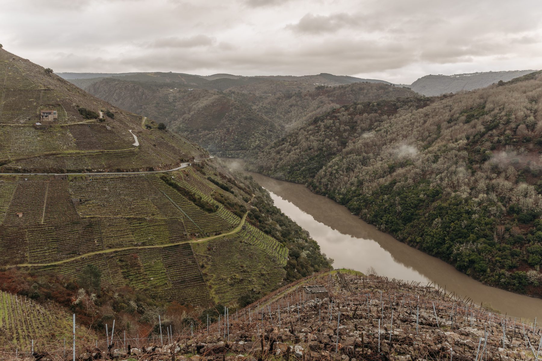 Viñedos en socalcos sobre o canón dun río